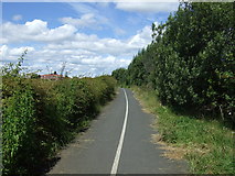 NZ2990 : Cycle track towards Lynemouth by JThomas