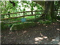 The Cross Dermond Coffin Stone near Penallt