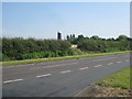 View towards Stallingborough Mill