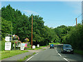 B1007 by Stockbrook Farm Shop and Nursery