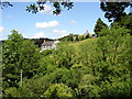 Capel Dewi taken from Rock Mill