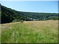 On the English bank of the Wye below Llandogo