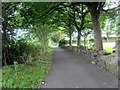 Path Along Bottom of Rek, Golcar