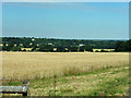 View north-west from Goat Hall Lane