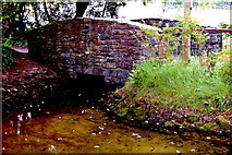 R4561 : Bunratty Park - Site #20- Horizontal Mill - Upstream Pond by Joseph Mischyshyn