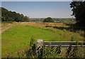 Trough and field, Kings Hill