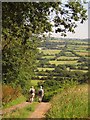 ST5938 : Track down Kings Hill by Derek Harper