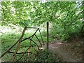 SP9310 : Old metal fence and gate, Park Wood by Rob Farrow