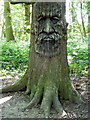 TR1161 : Tree carving in Druidstone Park, Blean by pam fray