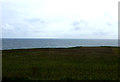 Coastal grazing near Berwick