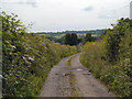 Track through Wheatcroft Wood