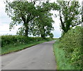 Pasture Lane North towards Kirby Bellars