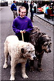 R4561 : Bunratty Park - Two Irish Wolfhounds on Village Street by Joseph Mischyshyn