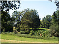 Looking across a dry valley, Munstead Heath