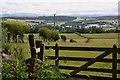 Fields near Williescrook