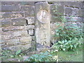 Benchmark on the milestone on Tame Aqueduct