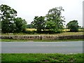 View from the bench, south of Thorner