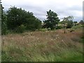 Powburn Community Garden