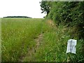 Unmapped but well-used field edge footpath