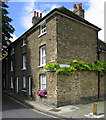 House on the corner of Knightrider Street and The Quay