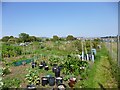 Langton Matravers, allotments