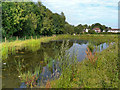 Pond at Orford Park