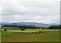 Farmland at Auchlishie