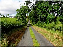 H5417 : Road at Cortreane by Kenneth  Allen