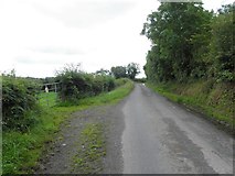 H5315 : Road at Lisarney by Kenneth  Allen