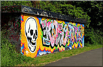 J3470 : Graffiti, Lagan towpath, Belfast (July 2012) by Albert Bridge