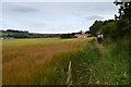 NT5978 : Field path near Drylawhill by Jim Barton