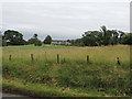 Farmland near Maitland