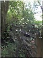 Footbridge near Middlepark Copse