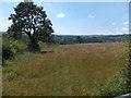 Fields below Farley Hill