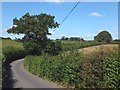 Minor road south of Combeshead Copse