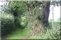 Bridlepath off Peover Lane