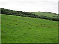 Leitrim Hill