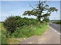 The B3081 near Cucklington