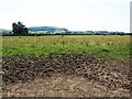 Looking across fields next to B3081, near Cannfield Farm