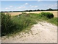 Track between two fields at Woodcutts