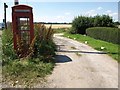 Overgrown phone box at Woodcutts