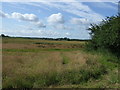 Farmland near Lough House