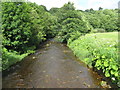 The River Nethan by Corramill Nursery