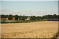 Towards Lower Hexgreave Farm