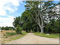 Driveway to Leicester Square Farm