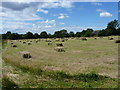 Proper, old-style hay bales