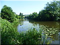 River Medway looking towards East Farleigh