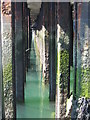 Detail of steel piles supporting County Wharf at Falmouth Docks