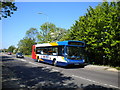 Bus on the A1307 in Haverhill