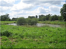 SK8174 : Fishing pond, Dunham in Trent by Jonathan Thacker